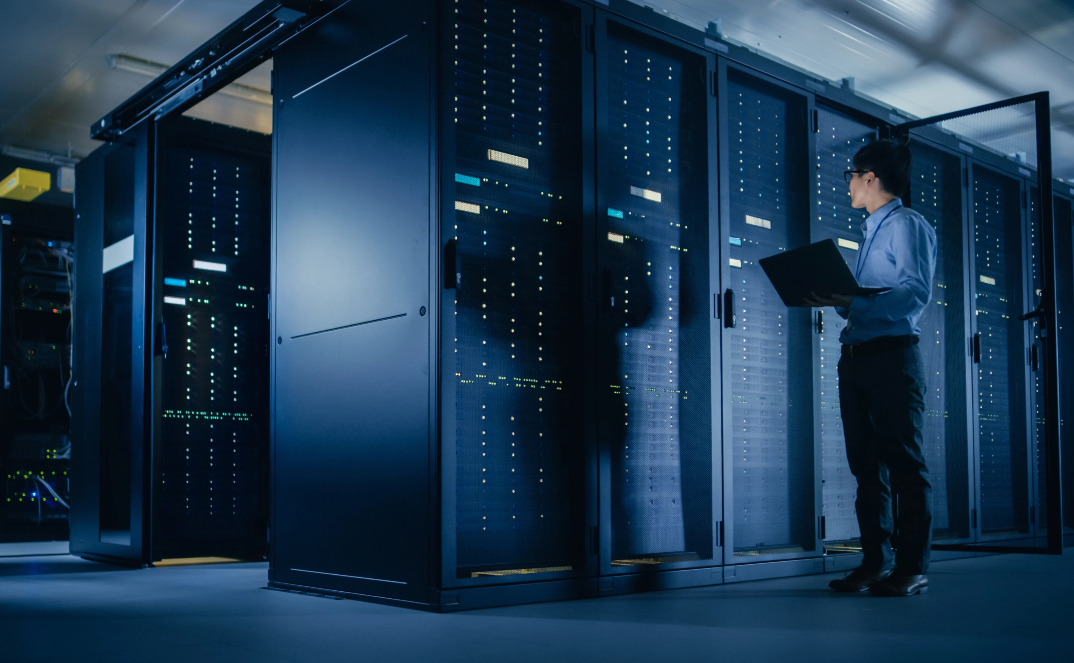 Database Software Company solution delivered by Winklix