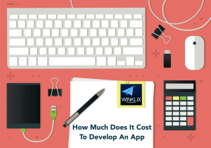 app development cost india