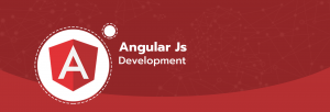 angular js development