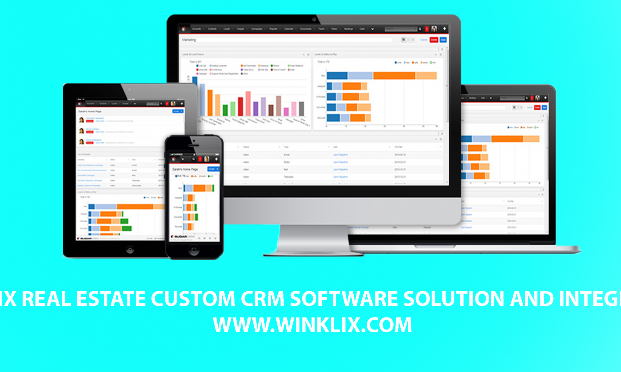 real state crm software development