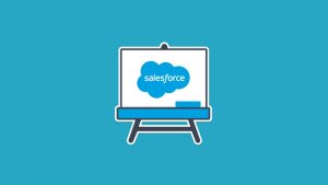 salesforce consultant