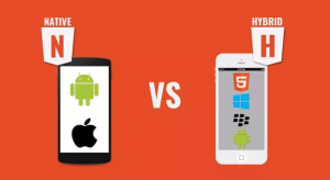 hybrid vs native app development cost