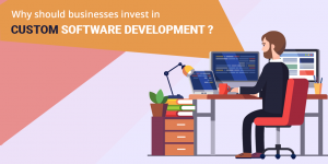 custom software development company delhi