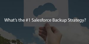 Which Is Best Strategy To Restore SalesForce Data