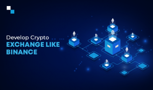 Creating a Cryptocurrency Exchange similar to Binance