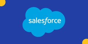 Decoding the Salesforce Landscape in the Big Apple: Understanding the Difference Between a Salesforce Functional Consultant and an Implementation Consultant in New York