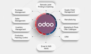 Is Odoo ERP Right for My Business? A Comprehensive Checklist