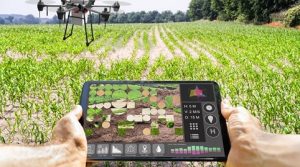 From Pocket to Plot: Mobile Apps Revolutionizing Precision Agriculture with Advanced Sensors