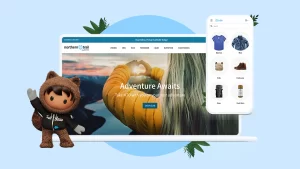 Headless Commerce with Salesforce Commerce Cloud: Unleashing Flexibility and Innovation